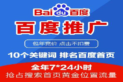 百度推广费用的投入与市场占有率提升的关联案例